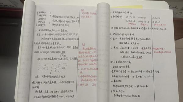 ed25da827aee86ff6a99953c7b8f6f6
