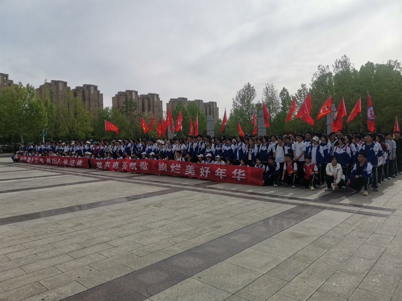 图片 6