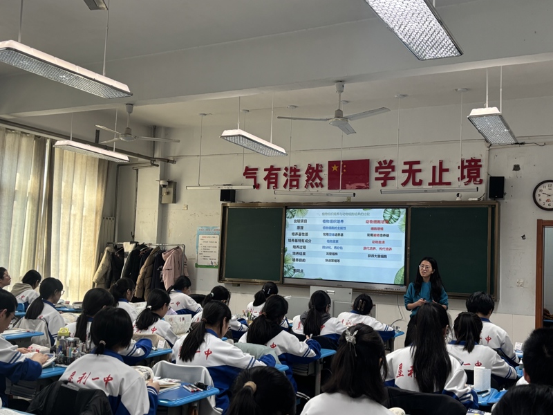 图片 7